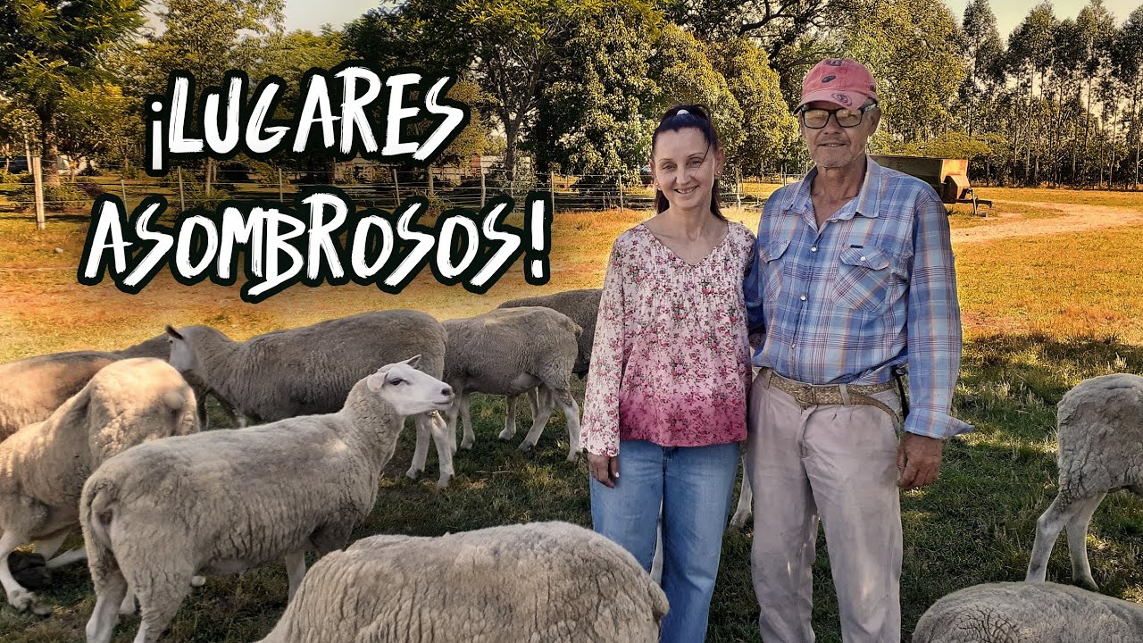 En este PARAÍSO ESCONDIDO de TODO, ellos crían ANIMALES 