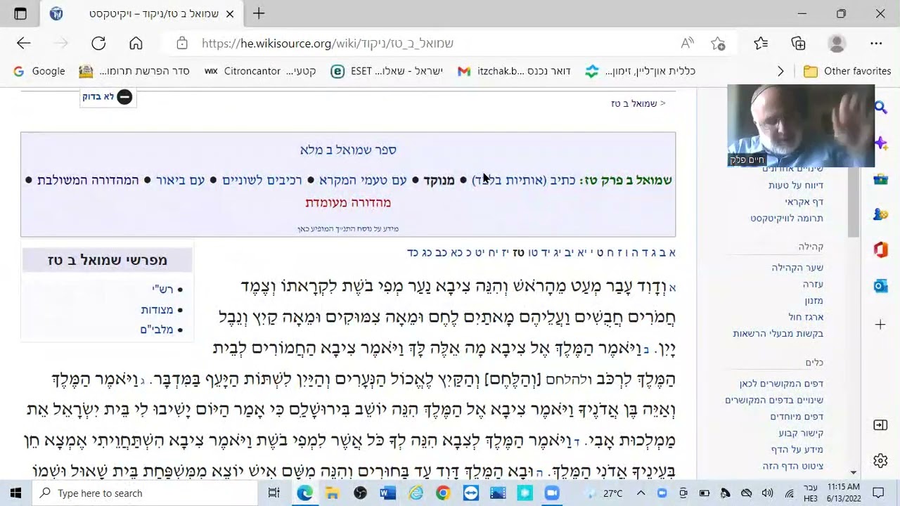 ר' חיים פלק - בריחתו של דוד - שמואל ב' ט