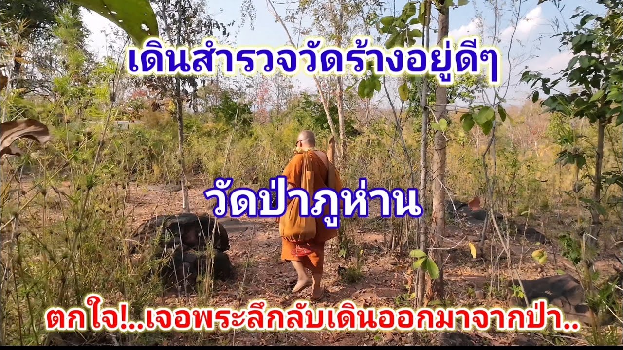 เจอพระลึกลับเดินออกมาจากป่า​ วัดป่าภูห่าน