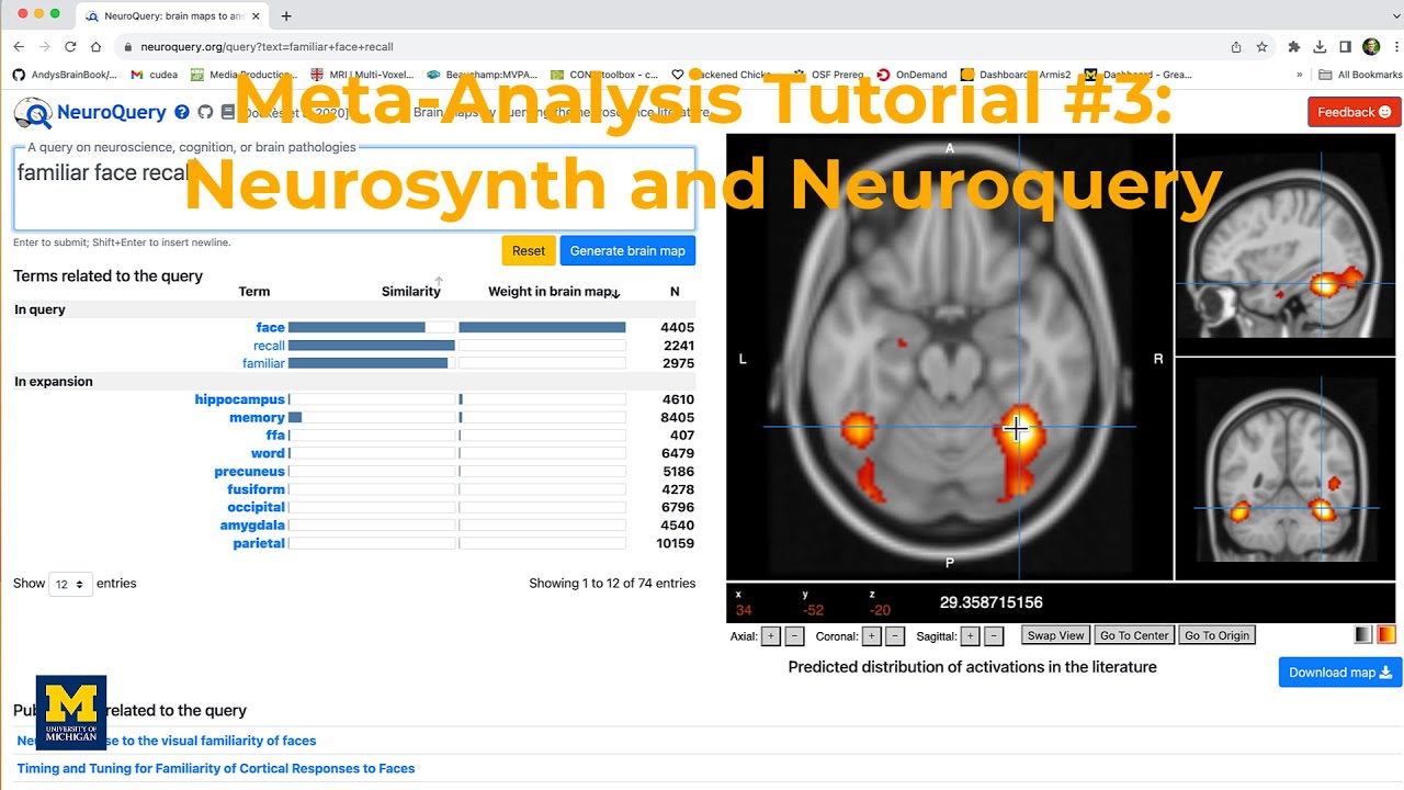 Учебное пособие по метаанализу фМРТ №3: Neurosynth и Neuroquery