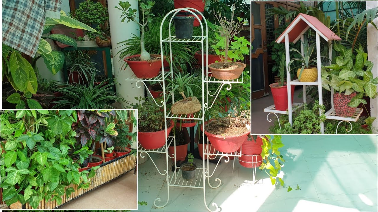All My Plant Stands with Prices || Fun Gardening