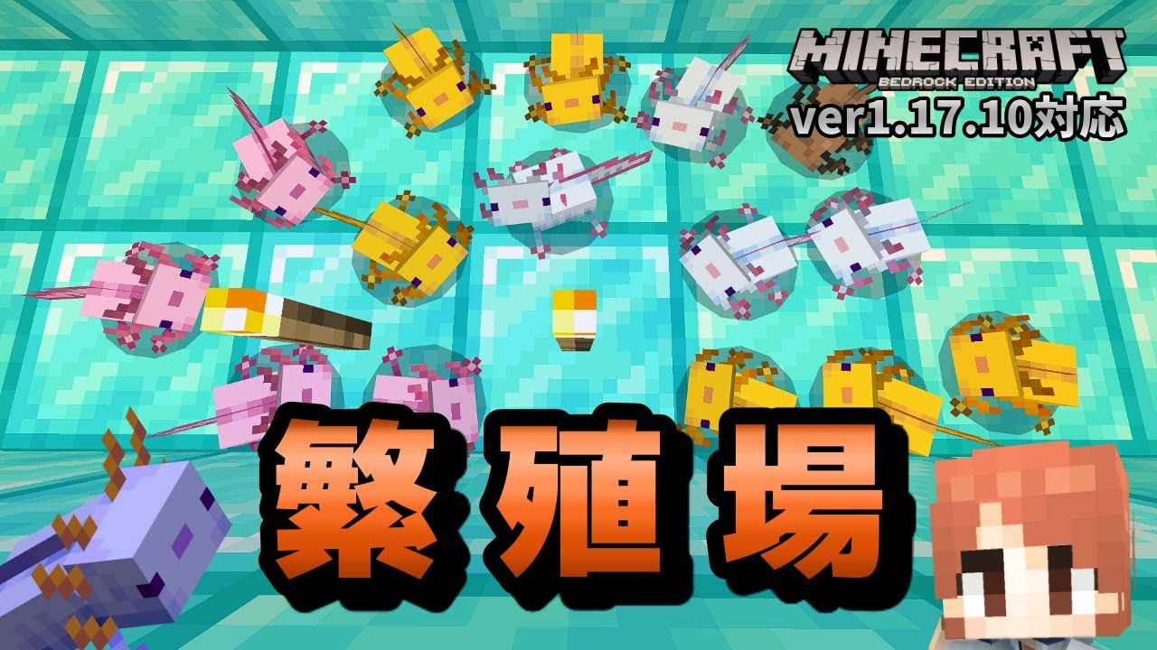 【幻の青ウーパー】ウーパールーパー繁殖場でエサやりをもっとお手軽に【マイクラ統合版】【ゆっくり実況】