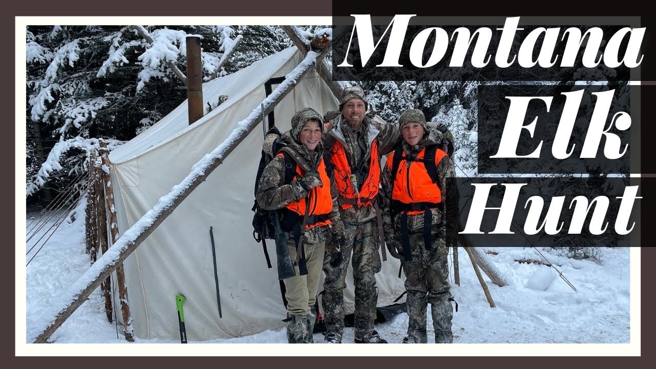 Backcountry Elk Hunt in Montana