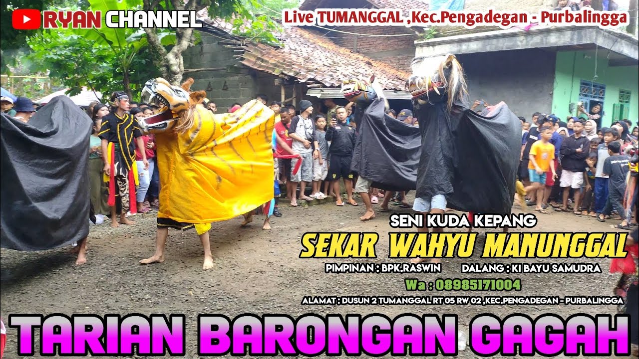 TARI BARONGAN 🔴 EBEG SEKAR WAHYU MANUNGGAL 🔴 LIVE TUMANGGAL KEC PENGADEGAN PURBALINGGA #barongan