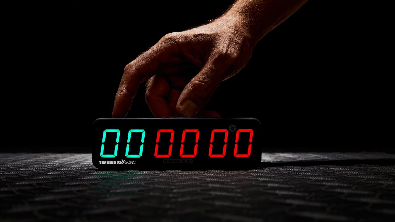Timebirds | It's your time