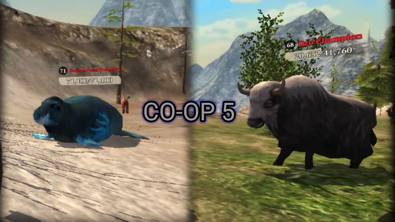 the tiger - Dzo & Elephant seal champion 🏆 #video #newvideo #dzochampian