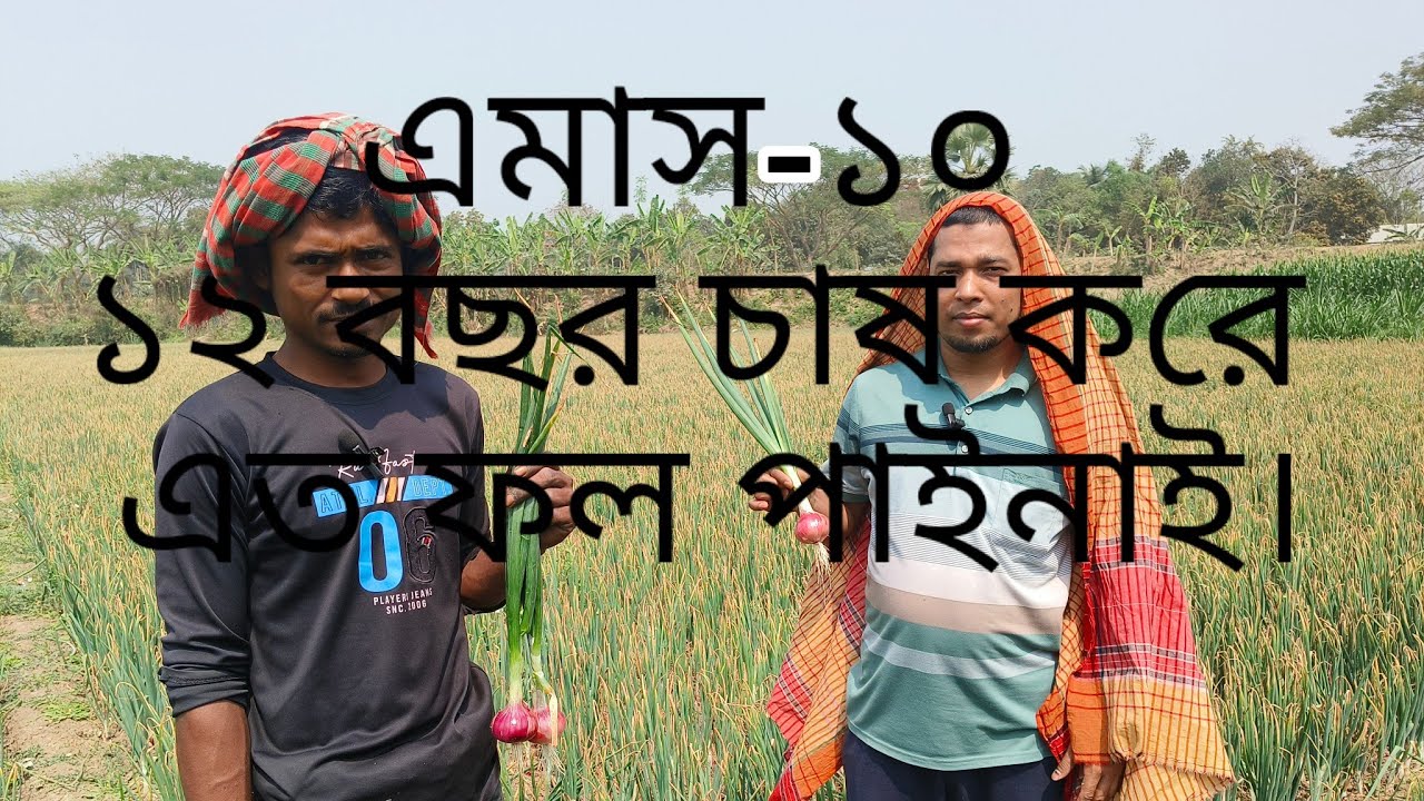 Amass-10 / এমাস-১০ পেঁয়াজ  #পেঁয়াজ #পেঁয়াজের_দাম #foryou #video #faridpur #রাজবাড়ী