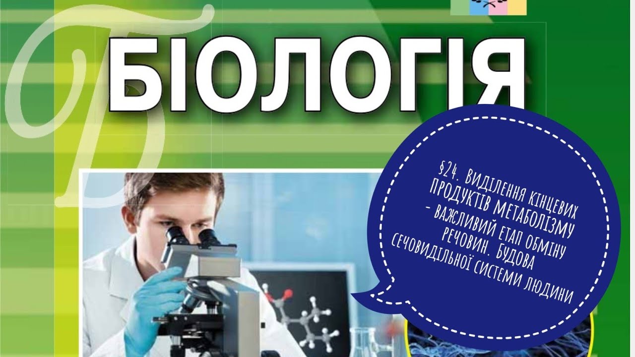 §24. Виділення кінцевих продуктів метаболізму - важливий етап обміну речовин. Будова сечовидільної..