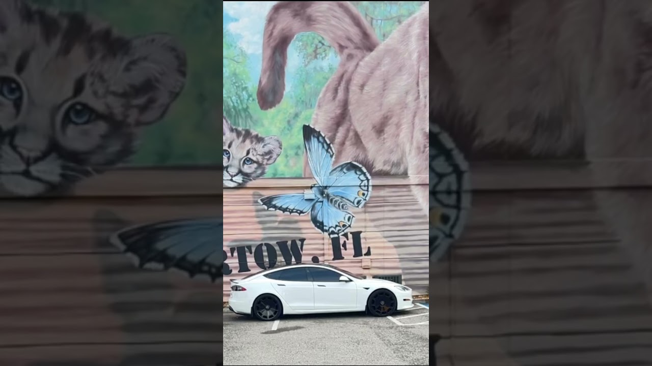 My Tesla Model S with custom wheels #tesla #automobile #customwheels #elonemusk