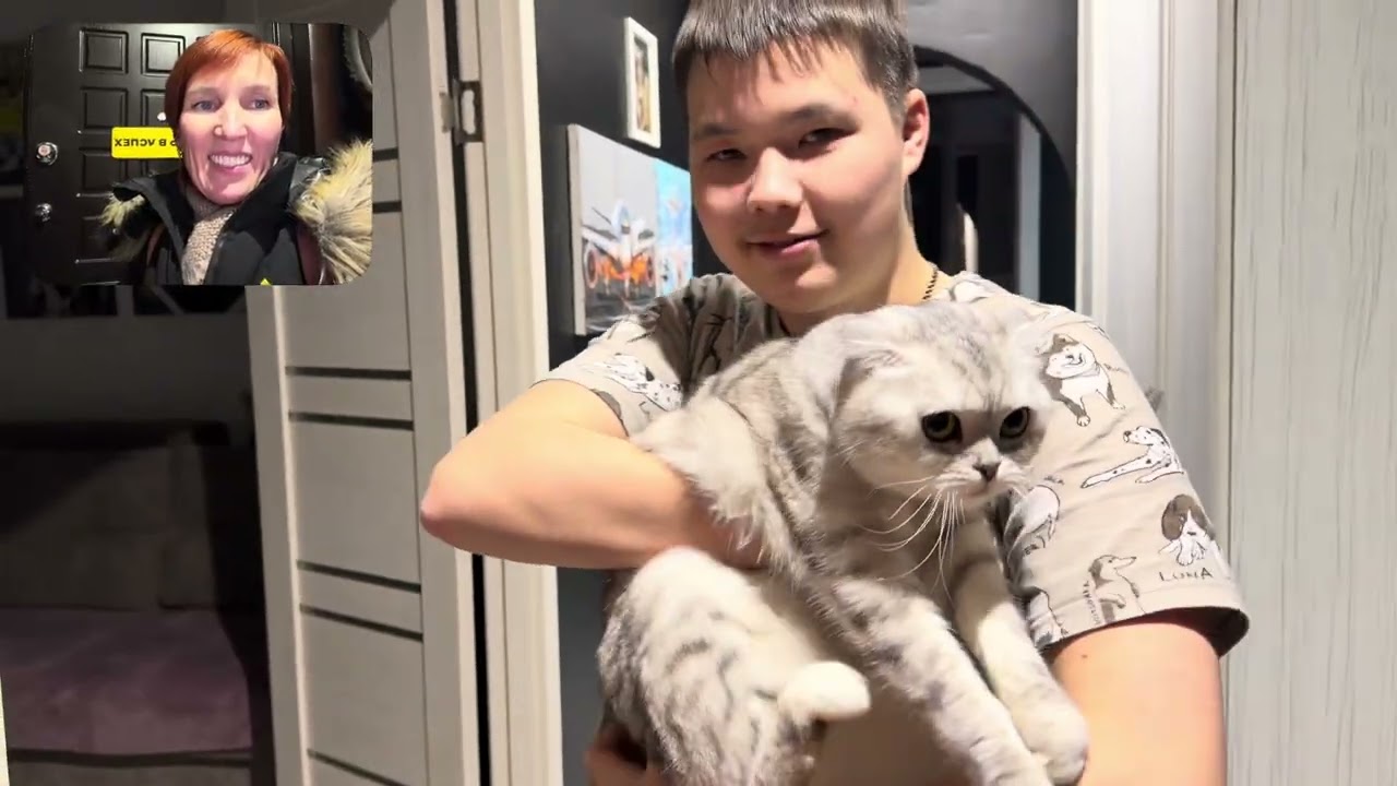Я, как есть / С днем рождения, сын! / Буду бабулькой, заведу собаку)