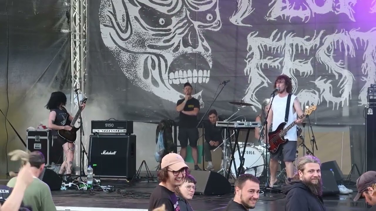 Diploid (live at Fluff Fest 2023)