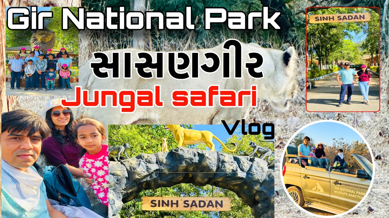 સાસણગીર સિંહ સદન  મુલાકાત |Gir National park In Gujarat |Jungle safari Vlogs  |sasangir |Girforest