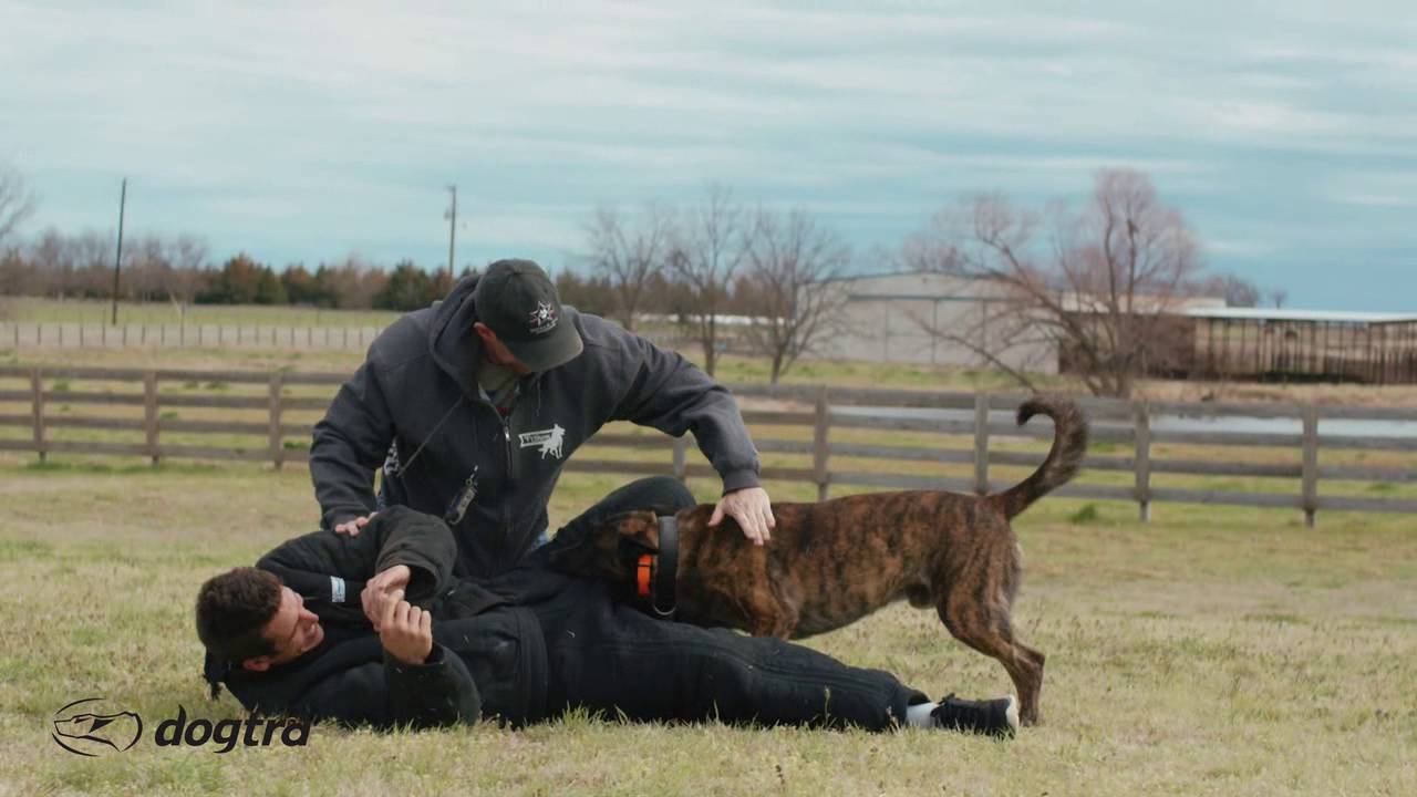 Ep.7 - K9 Dog Training with Mike Ritland: Bite Training