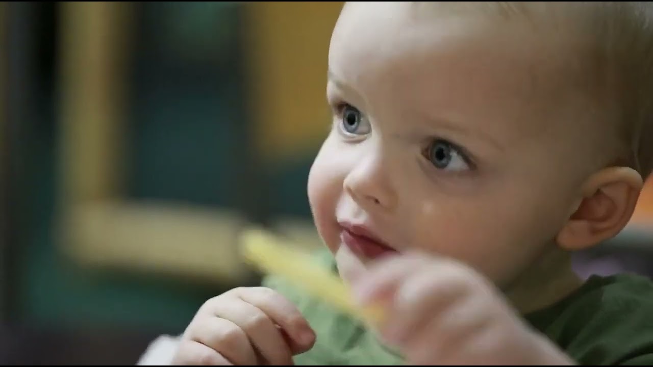In Defense Of Food 2015