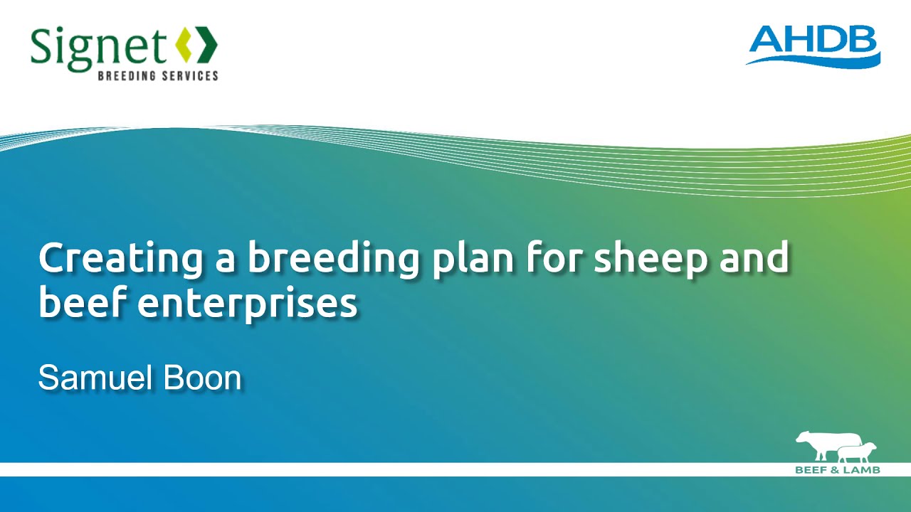 Creating a breeding plan