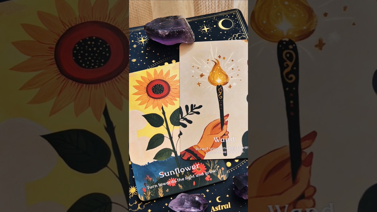 Full Moon Oracle Reading 🌕✨️ (August 9) - You Hold the Power! What You Focus on Grows 🌻