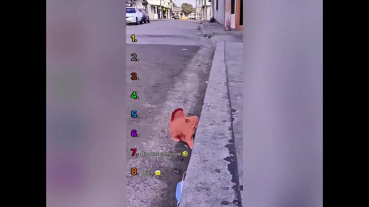 🤣👌👌👌2026 pov Must-Watch Crazy Clips Compilation #humor #fypシ #pov #fyp #foryou 😍😜