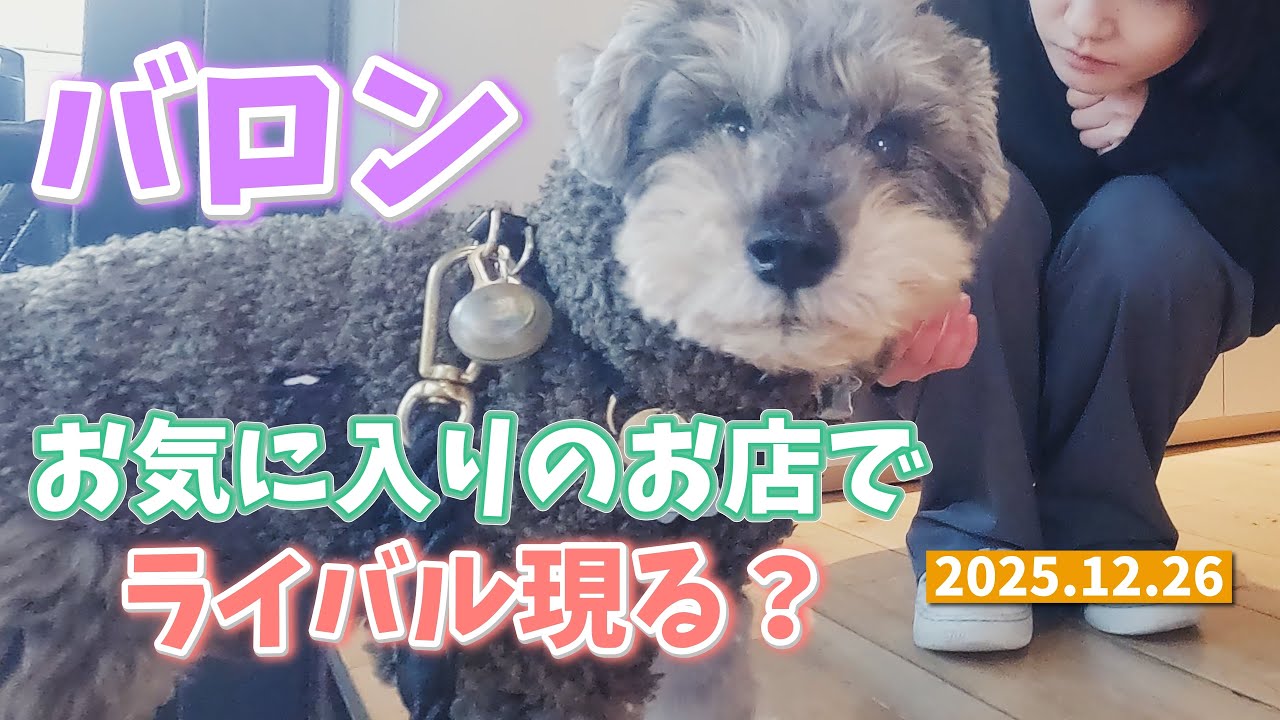 バロン、お気に入りのお店コールドプロセスで別のワンちゃんが現れました。