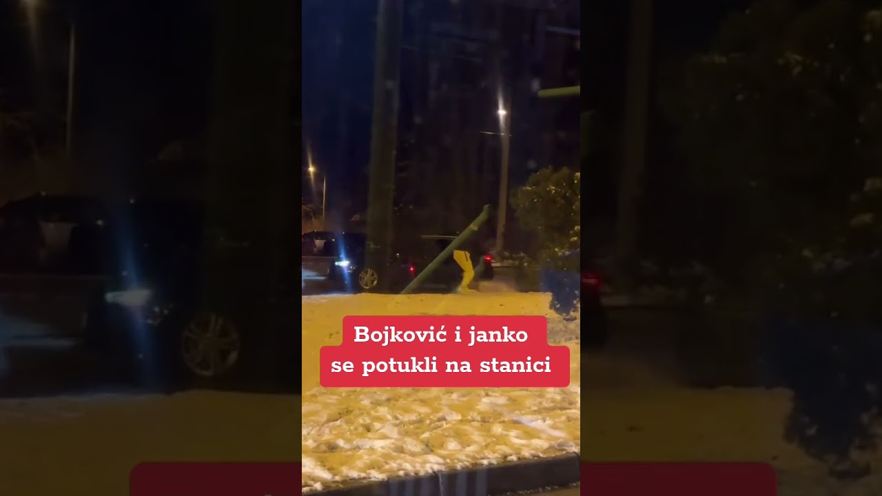 JANKO I BOJKOVIC TUČA NA ZVEZDARI  #fake#safe#popular #janko#bojkovic#mma
