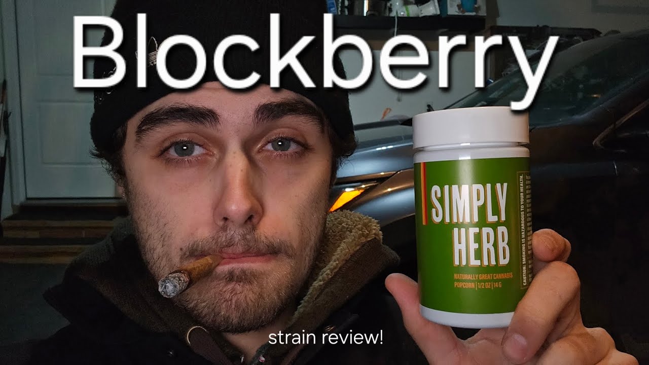 Blockberry from Simply Herb, strain review.