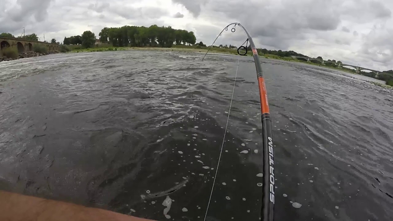 Pêche du gros silure avec de gros problème | GoPro HD