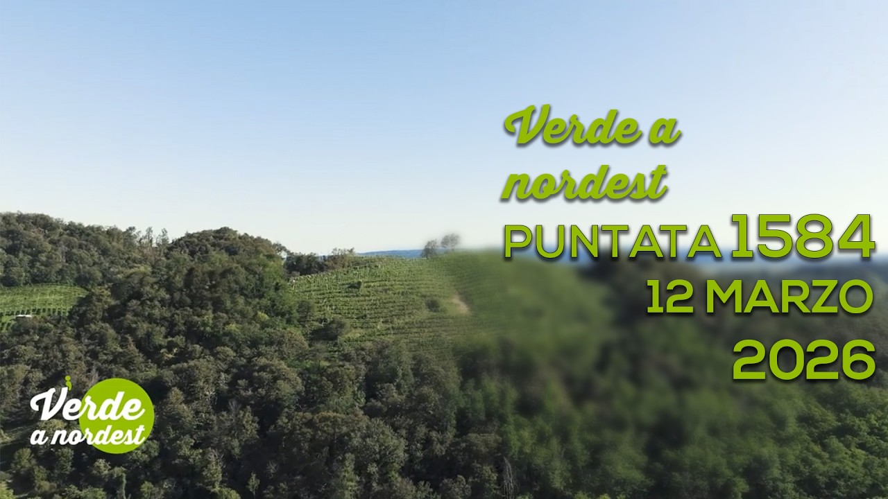 VERDE A NORDEST PUNTATA N.1584