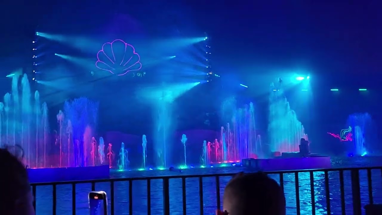 Fantasmic Show July 2025