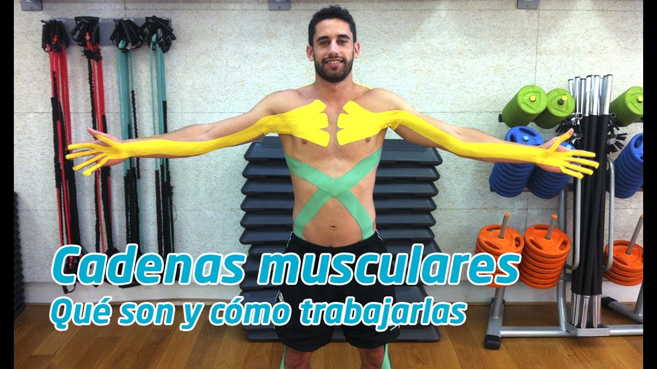 Cadenas musculares, qué son y cómo trabajarlas