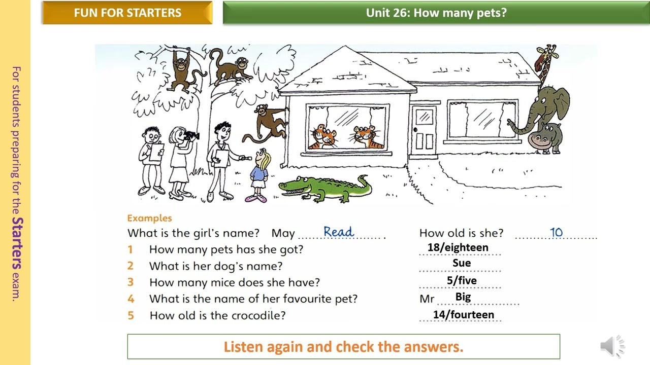 fun for starters Unit 26A how many pets