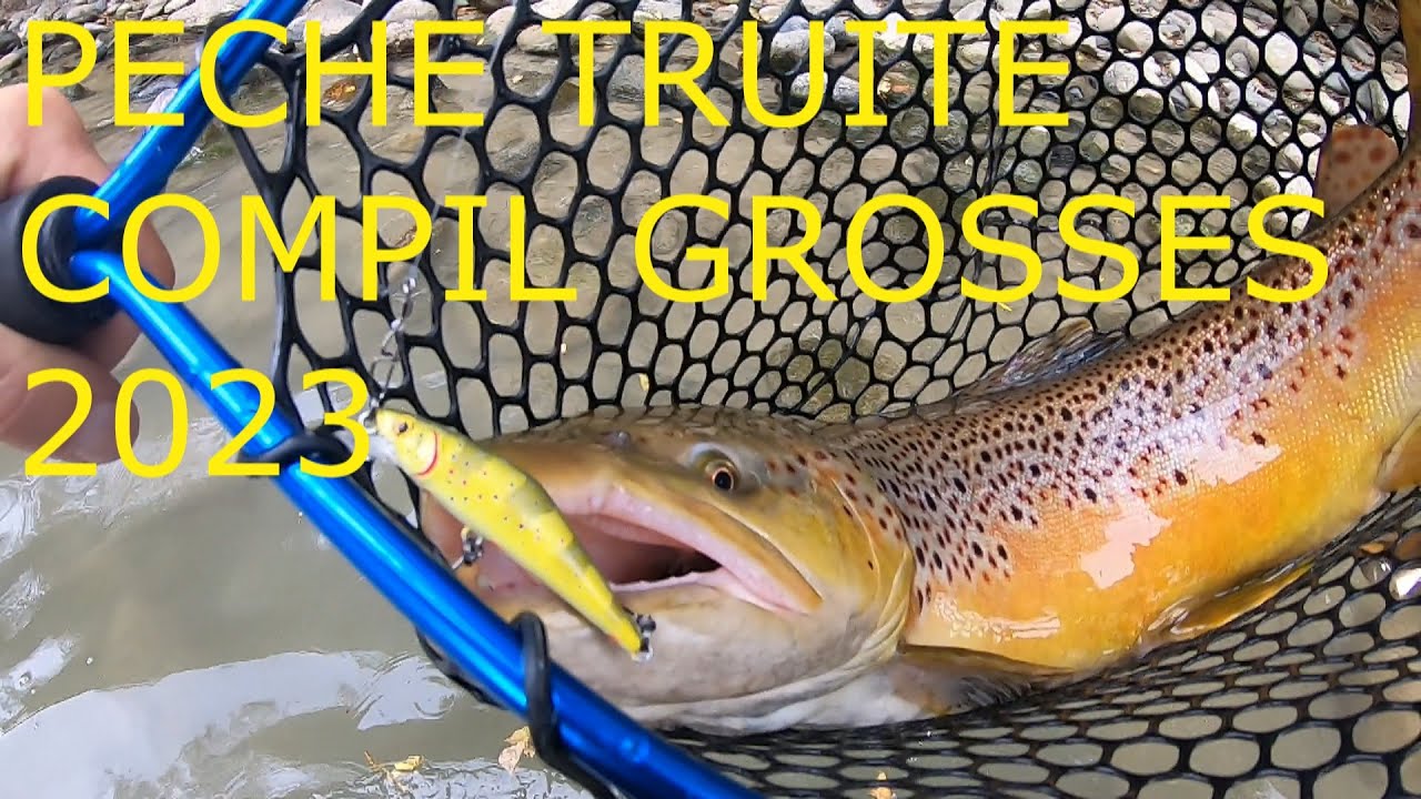 PECHE TRUITE COMPILATION  DES PLUS GROSSES DE 2023