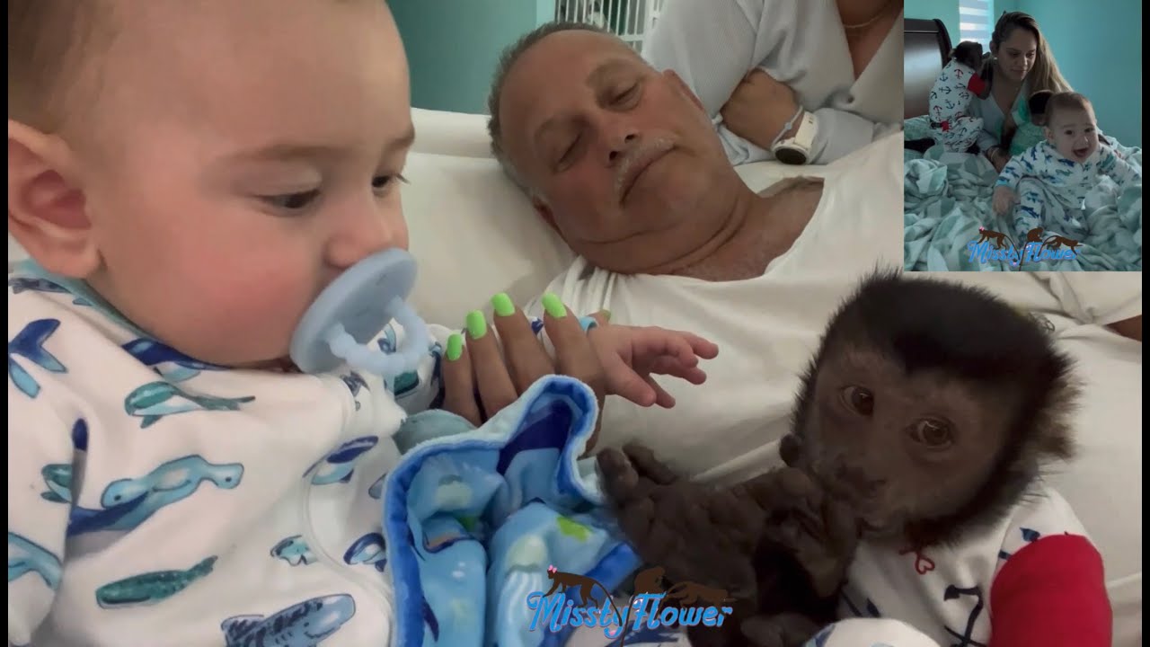 Night & Day with 3 MONKEYS & a BABY ❤️