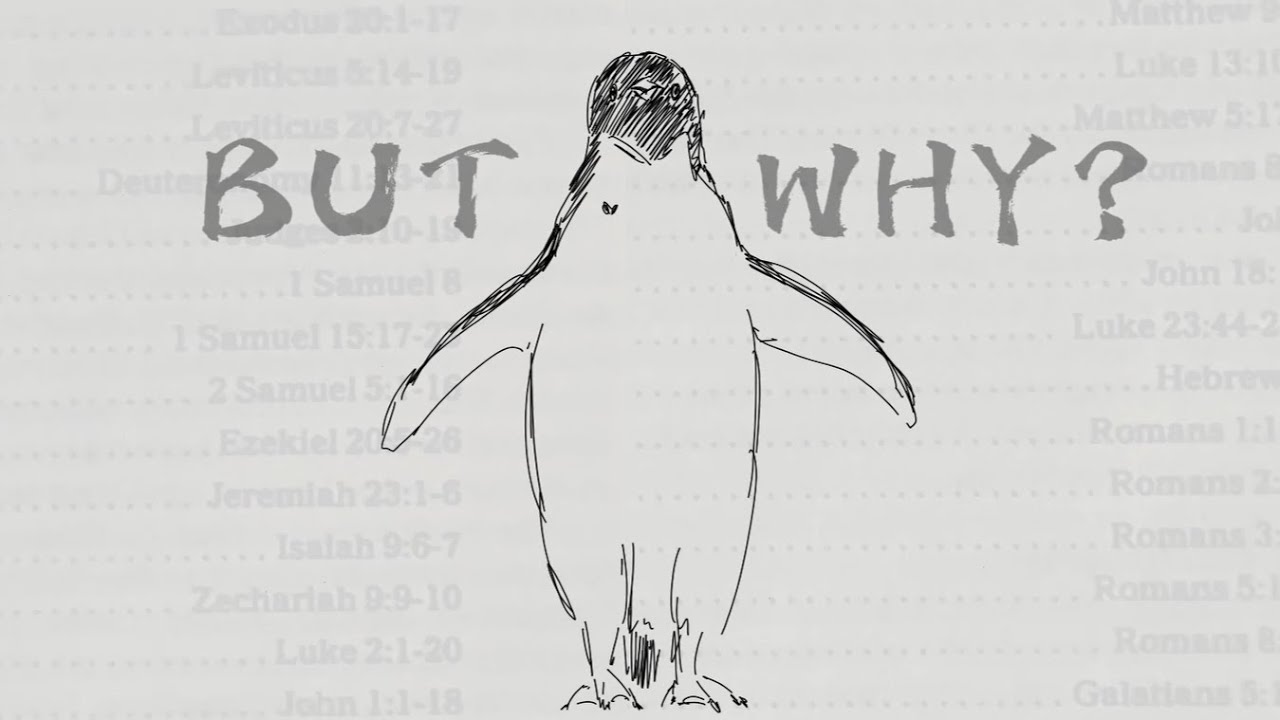 BUT WHY?🐧| That One Penguin but in Animatic Short Film 'Adélie'