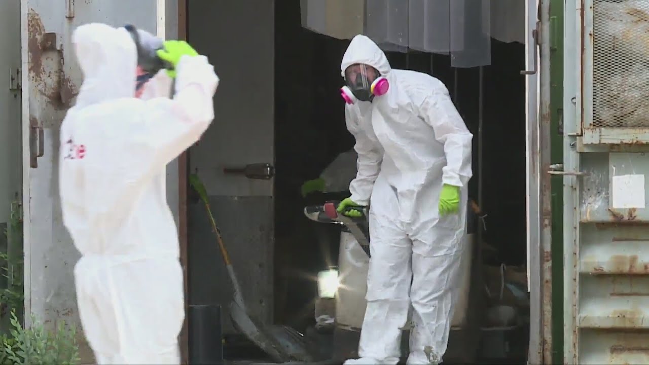 Unusual legal fights brewing over building with rotting seafood