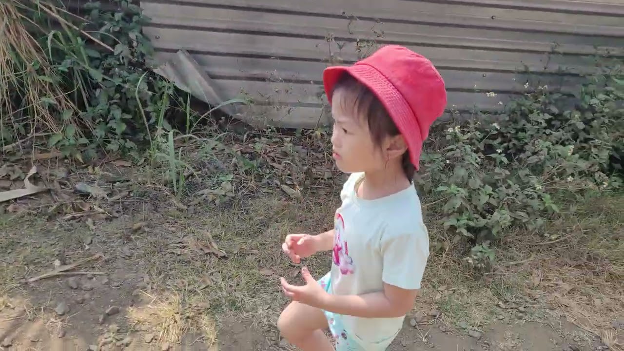 Dạo đường làng 