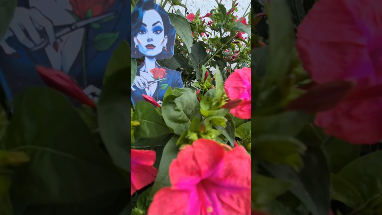 Flower witch 34 #nature #livejoy