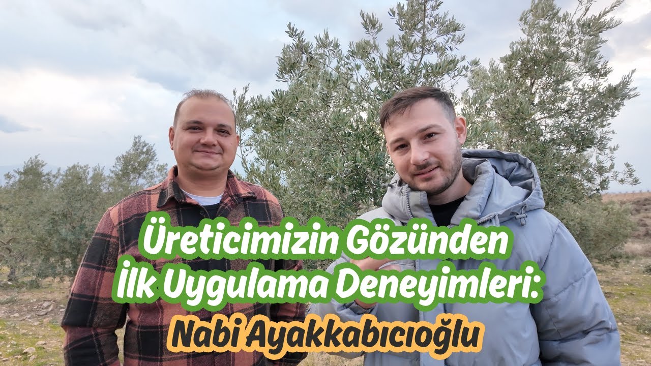 Üreticimizin Gözünden İlk Uygulama Deneyimleri: Nabi Ayakkabıcıoğlu #agroida #zeytin #ziraat