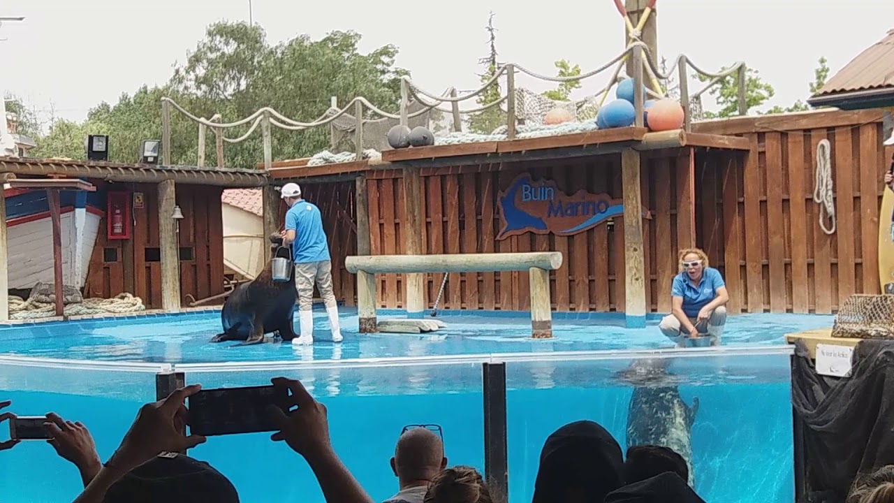 Parque Acuatico Buin Zoo