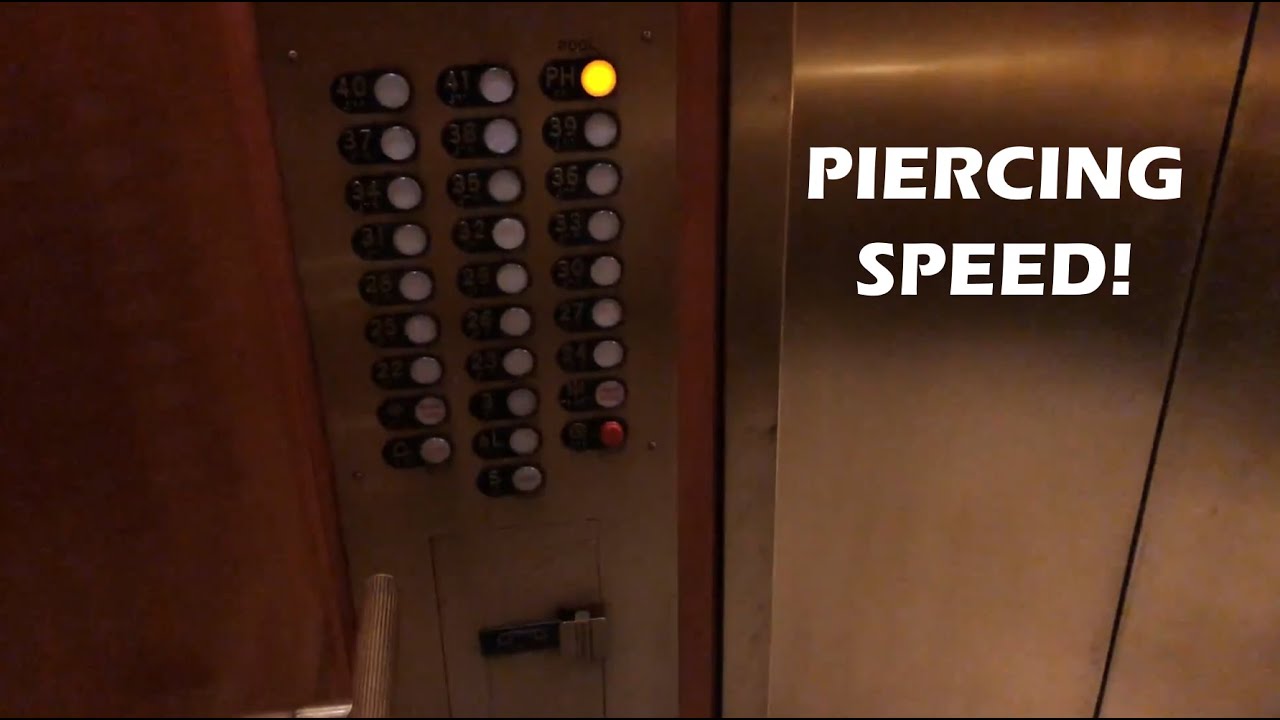 Very Fast Haughton Traction High-Rise Elevators - Parker Hotel in New York, NY