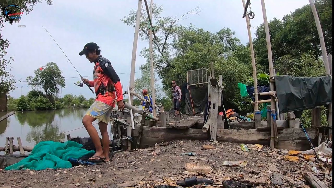 SPOT MANCING TAMBAK ‼️Muara Gembong‼️#mancing #mancingmania #fishing 