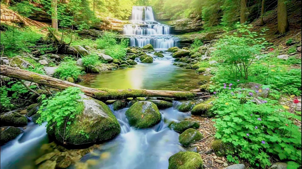 Calming River Sound for Deep Sleep | Natural Healing Ambience for Health and Peace