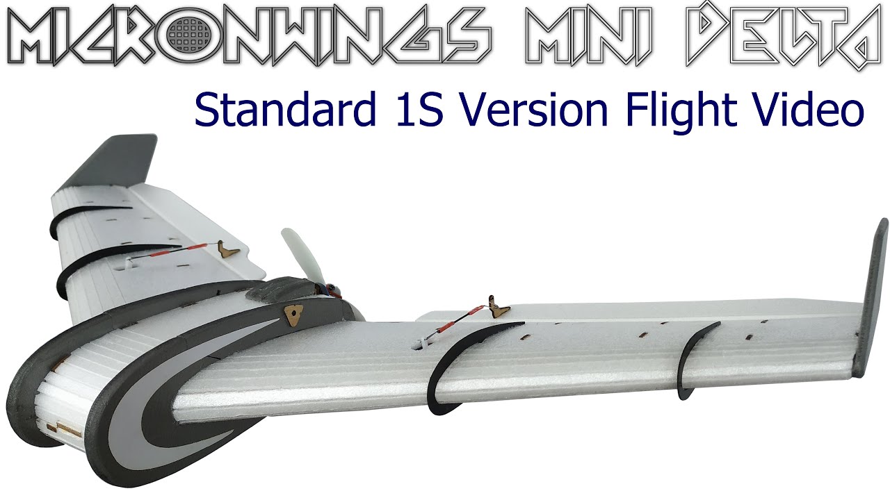 MicronWings Mini Delta V2 - 1S Setup