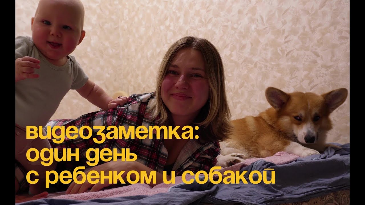 2. один день с ребенком и собакой | заметки о материнстве | влог