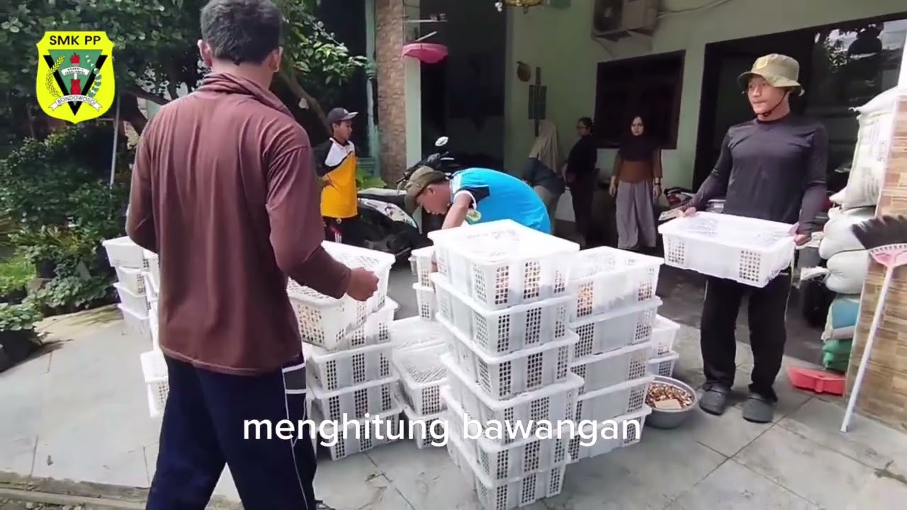 Melakukan praktek kerja lapangan (pkl) di CV Arjuna flora