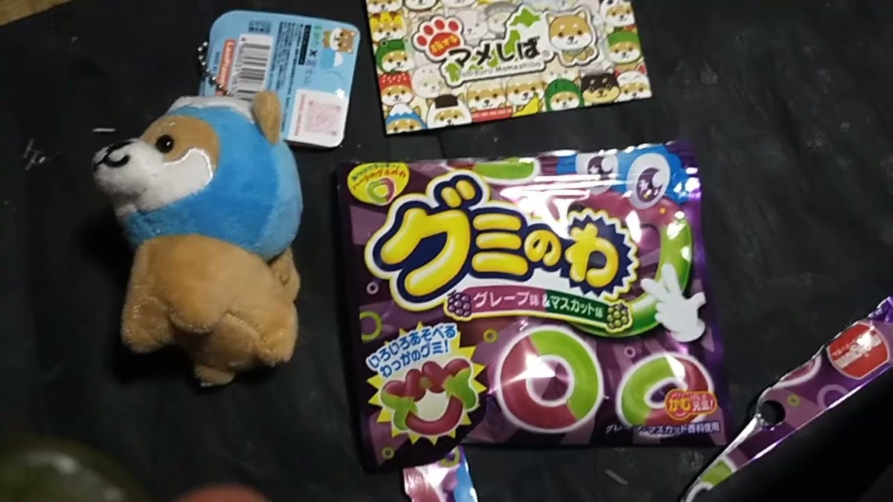旅する豆柴ですよ