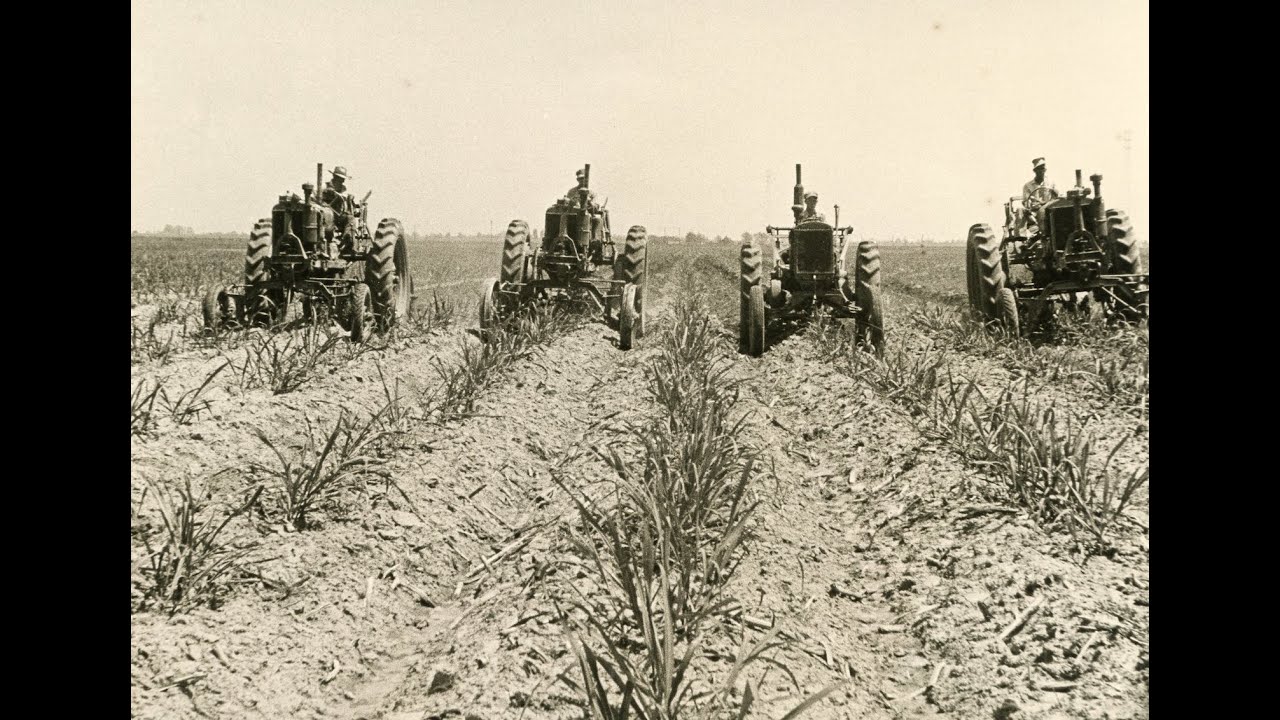 Producing Sugar Sustainably | 200 Years of Louisiana Sugar