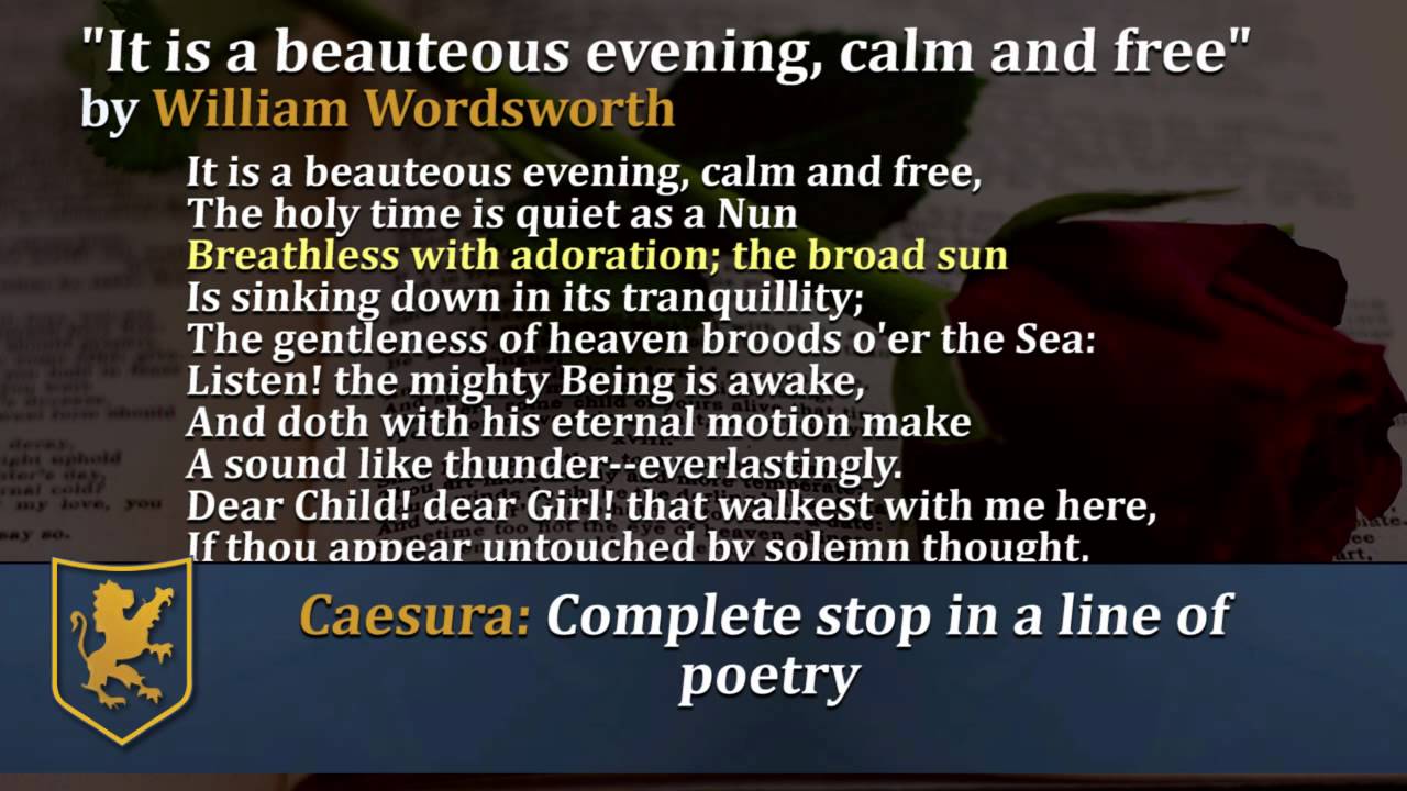 Sonnets Video 7 Wordsworth 