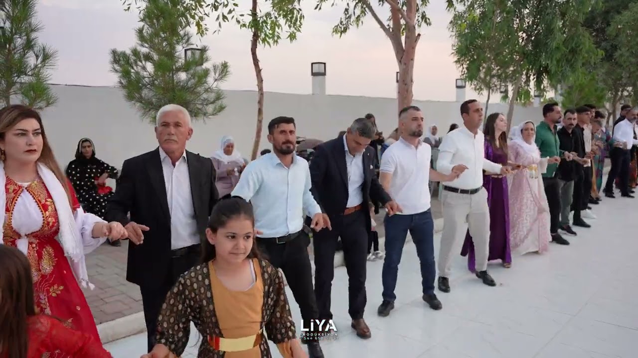 Salih Mıtlın Düğünü Part 1 | Grup Nihat Silopi 2025