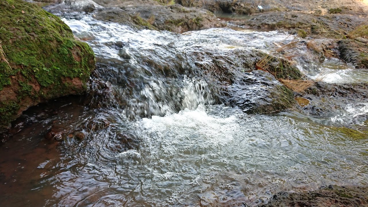 River Flowing, Tranquil Forest Soundscape for Sleeping and Relax