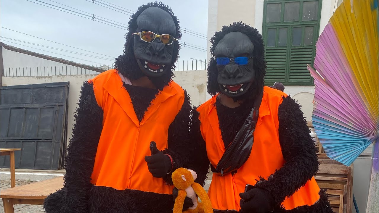 PAPANGUS DE TAPEROÁ FINALIZADO MAIS UM CARNAVAL 🎭