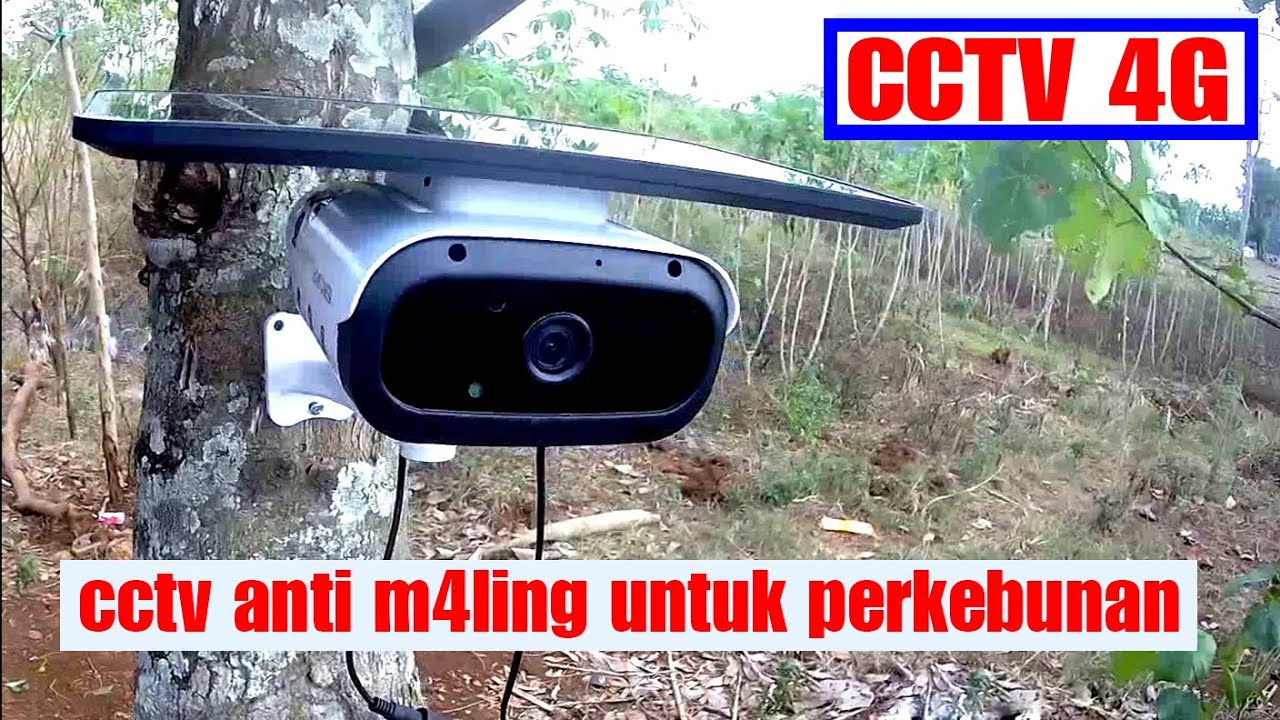 CCTV kebun termurah dan tercanggih 2023